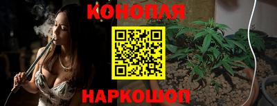 apvp Славгород